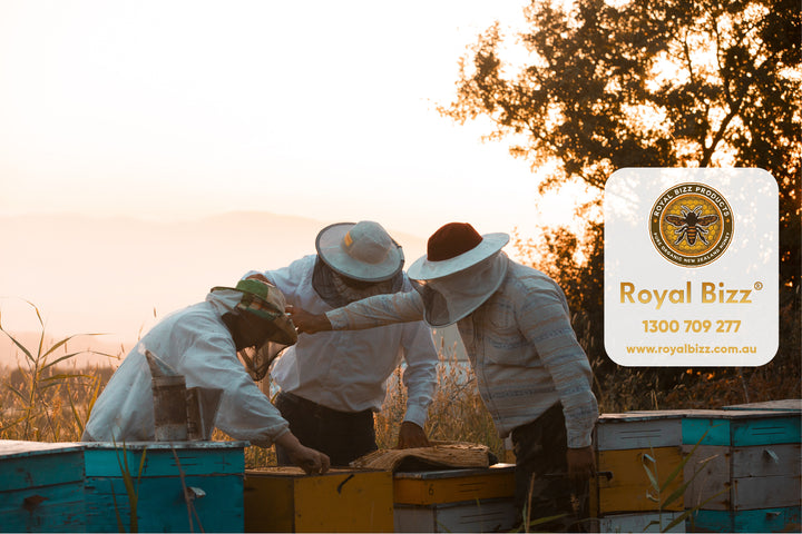 Manuka Honey Bee Keepers | Royal Bizz™